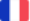 French flag icon